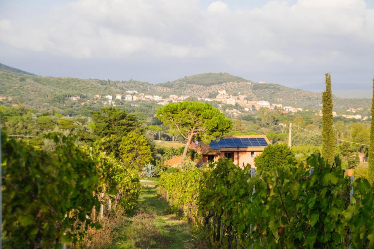 Agriturismo Colle Vento Suvereto Exterior foto